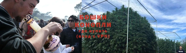трава Козловка