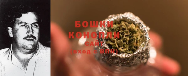 ПСИЛОЦИБИНОВЫЕ ГРИБЫ Кодинск